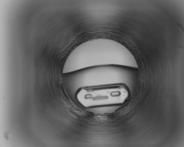 X0000100370328200806060808
