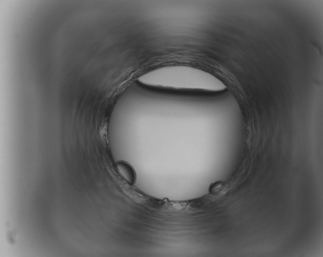 X0000100370329200806060808