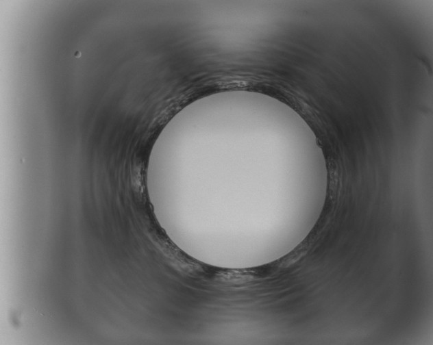 X0000100370331200806060808