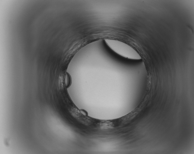 X0000100370333200806060808
