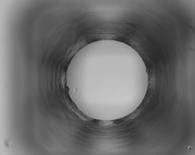 X0000100370334200806060808