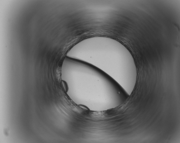 X0000100370335200806060808