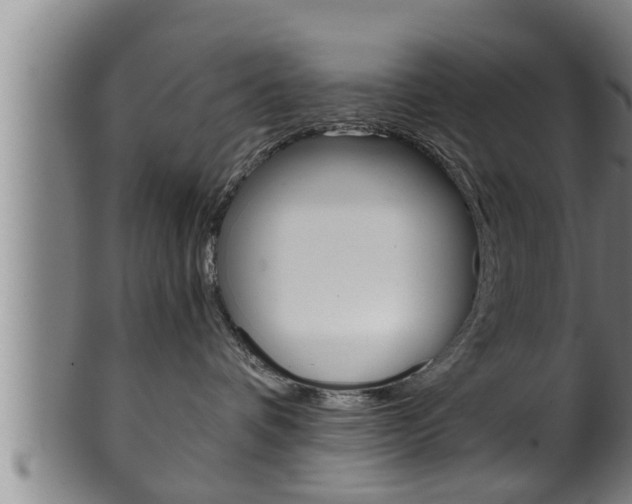 X0000100370336200806060808