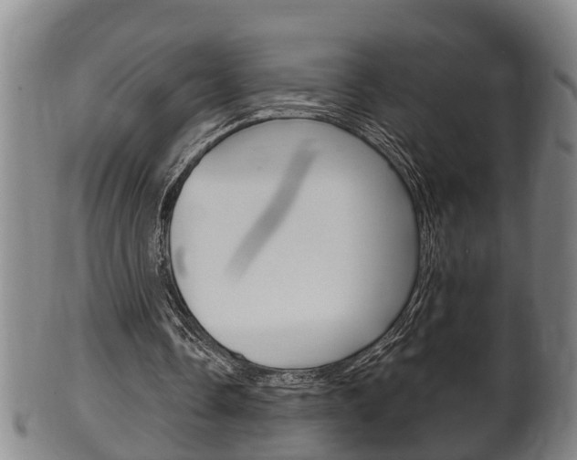 X0000100370338200806060807