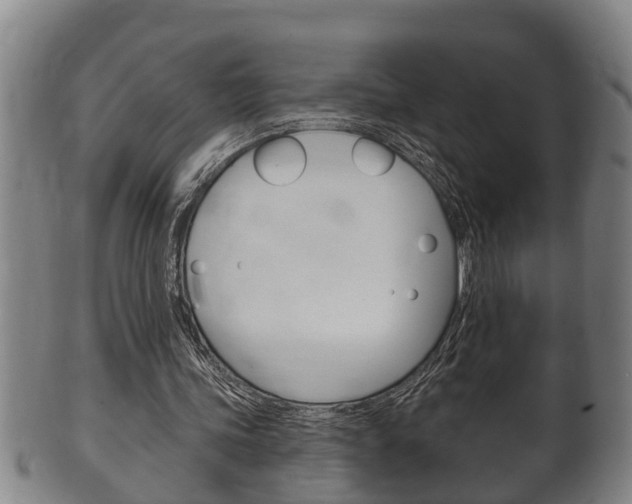 X0000100370339200806060807