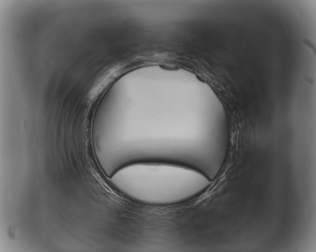 X0000100370341200806060807