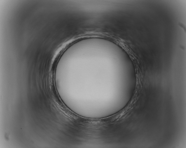 X0000100370342200806060807