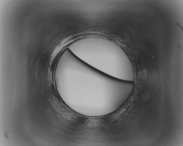 X0000100370343200806060807