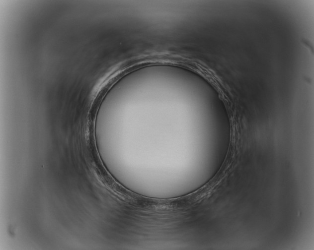 X0000100370344200806060807