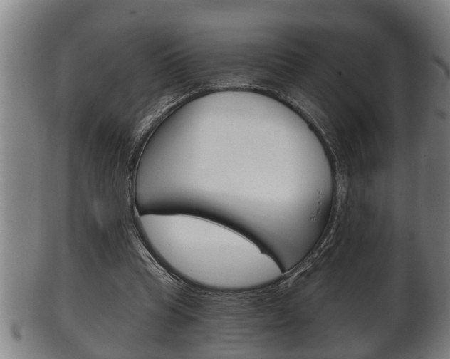 X0000100370345200806060807
