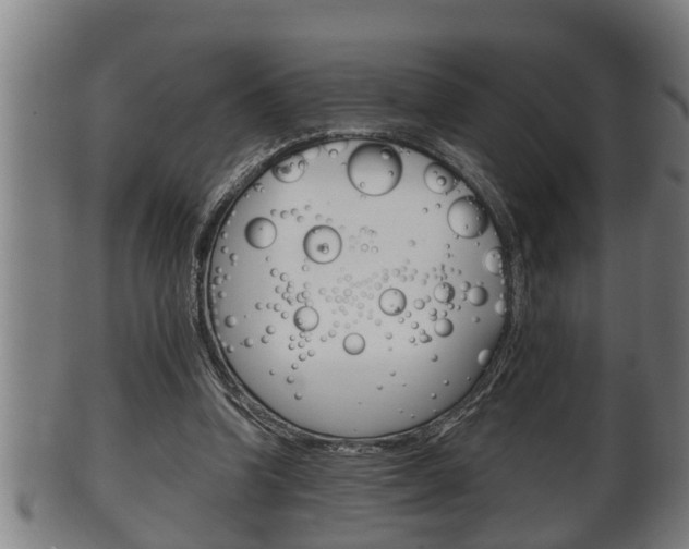 X0000100370346200806060807