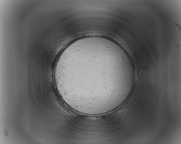 X0000100370347200806060807