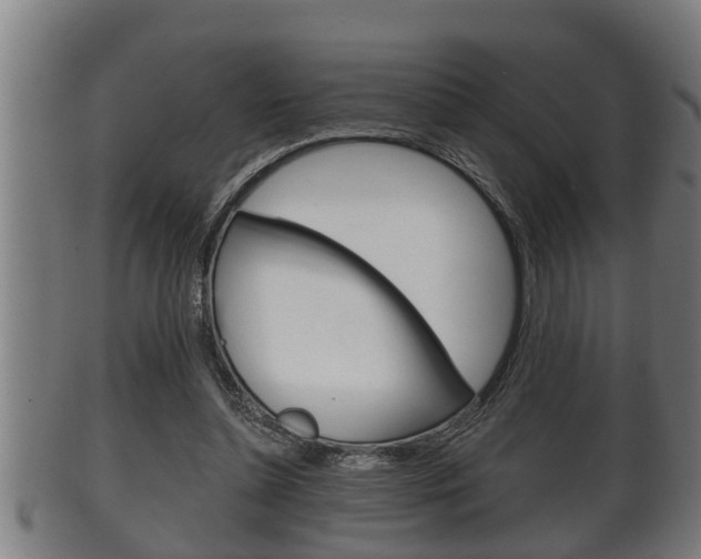 X0000100370348200806060807