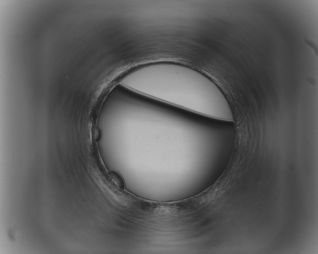 X0000100370350200806060807