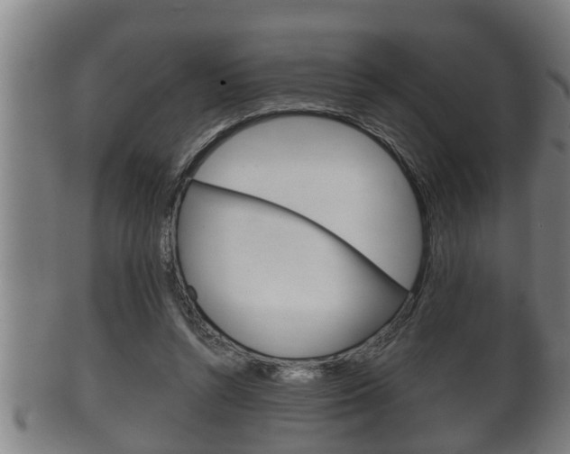 X0000100370352200806060807