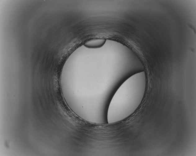 X0000100370354200806060807