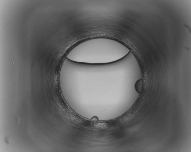 X0000100370355200806060807