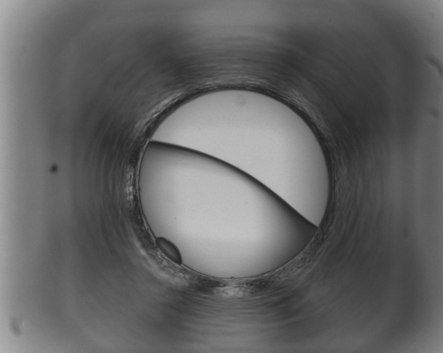 X0000100370356200806060807