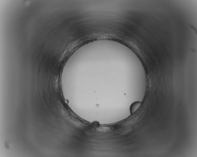 X0000100370357200806060807