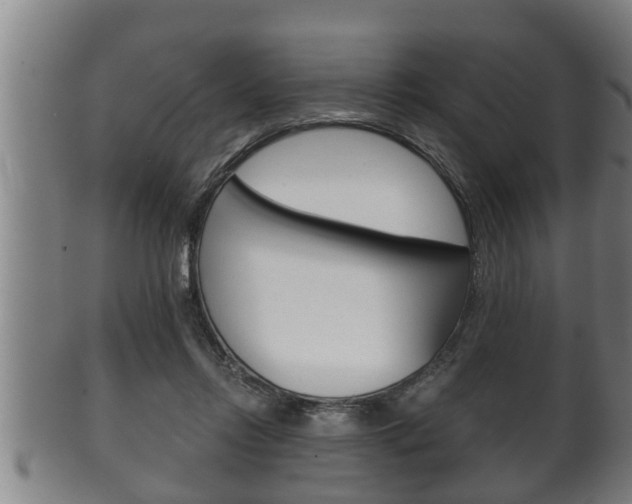 X0000100370358200806060807