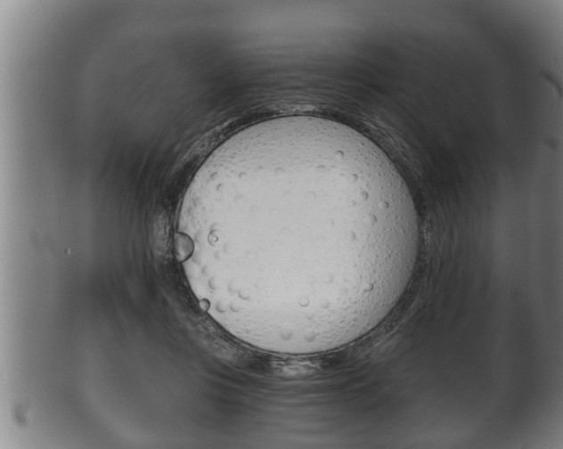 X0000100370359200806060807