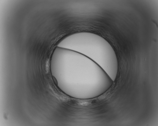 X0000100370360200806060807