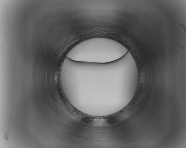 X0000100370363200806060807