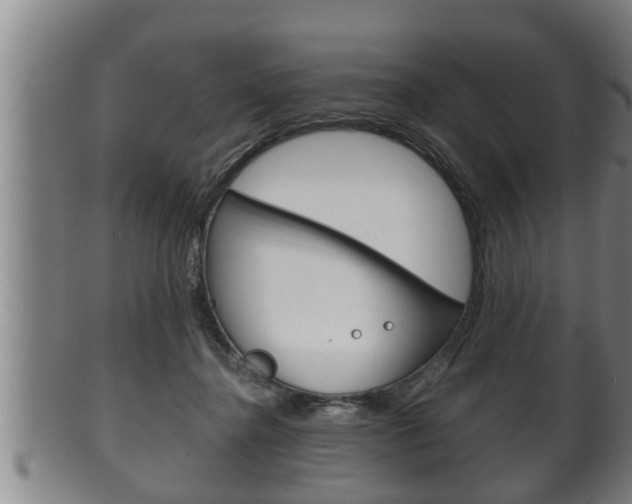 X0000100370364200806060807