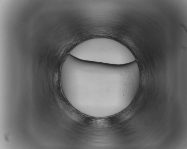 X0000100370365200806060807