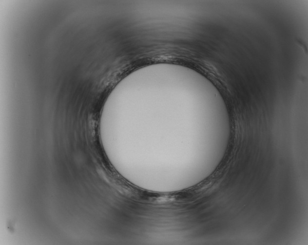 X0000100370366200806060807