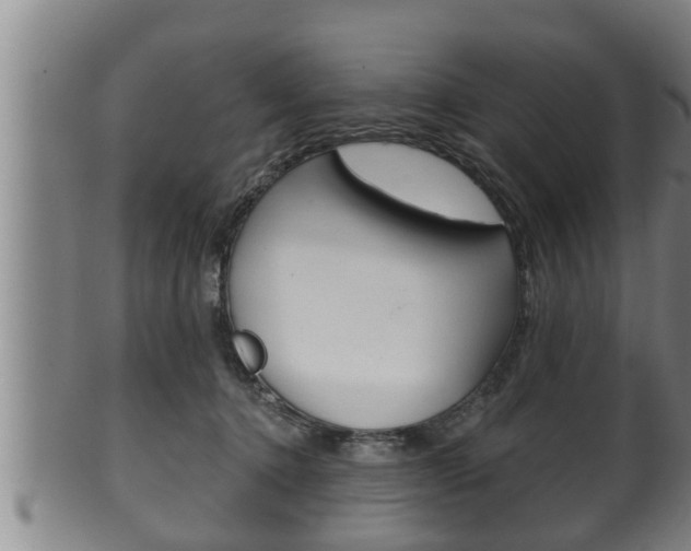 X0000100370368200806060807