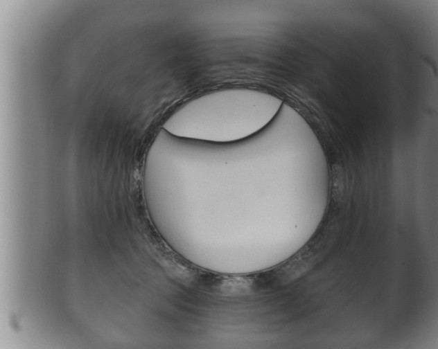 X0000100370369200806060807