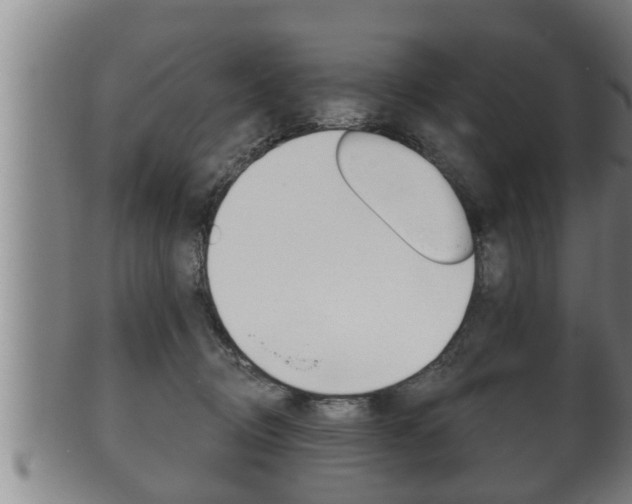 X0000100370370200806060807