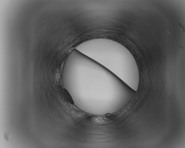 X0000100370372200806060808
