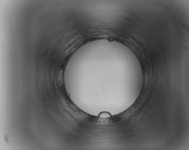 X0000100370376200806060808