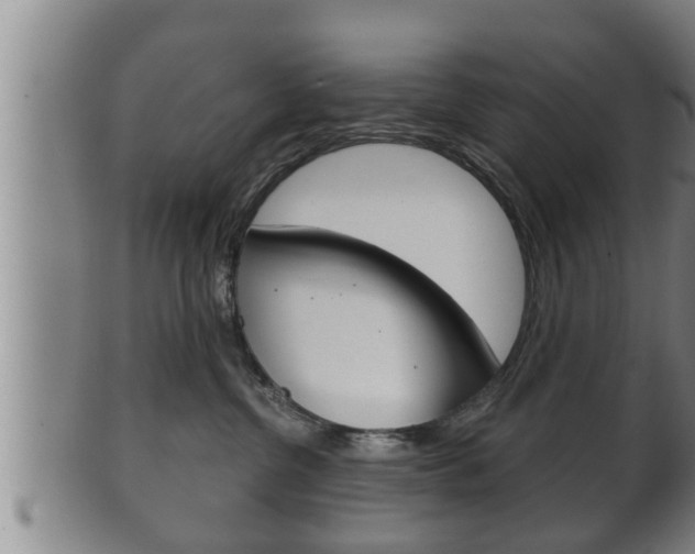 X0000100370380200806060808