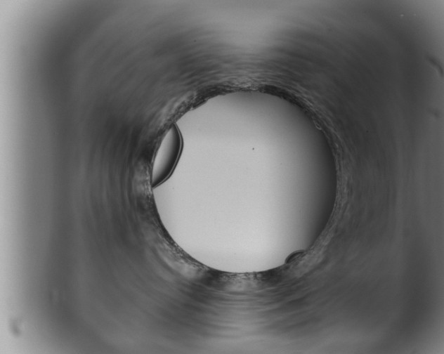X0000100370384200806060808