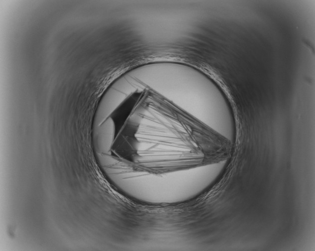 X0000100370385200806060807