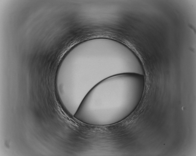 X0000100370386200806060807