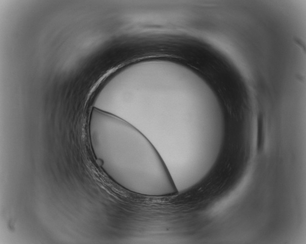 X0000100370387200806060807