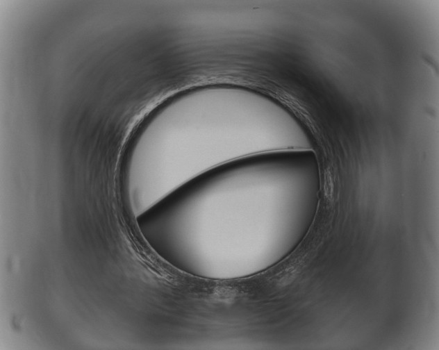 X0000100370388200806060807