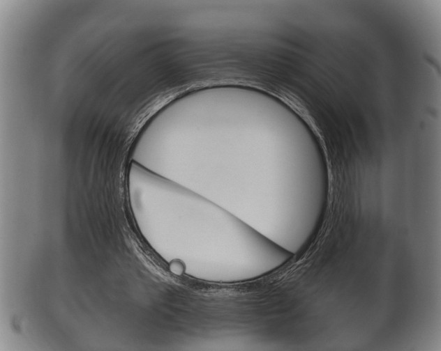 X0000100370389200806060807