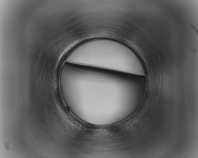 X0000100370392200806060807