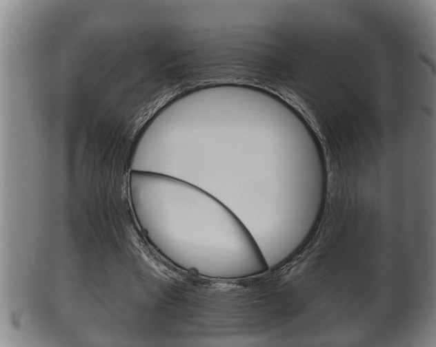 X0000100370393200806060807
