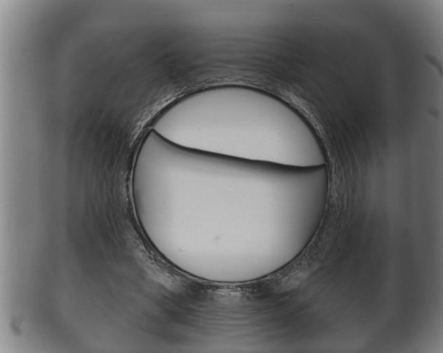 X0000100370394200806060807