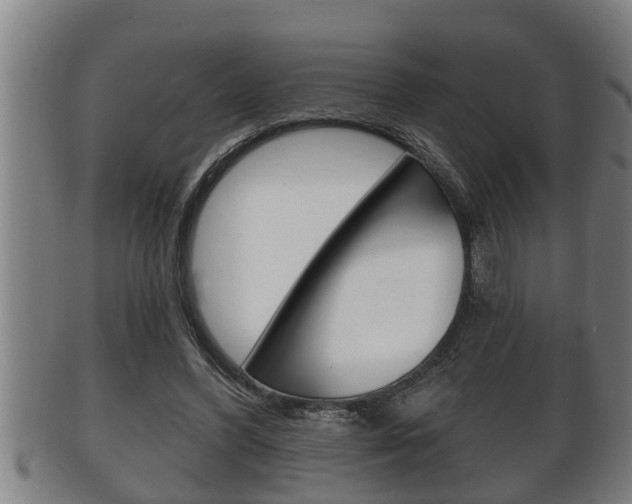 X0000100370396200806060807