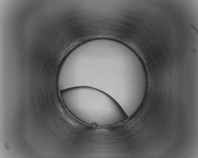 X0000100370397200806060807