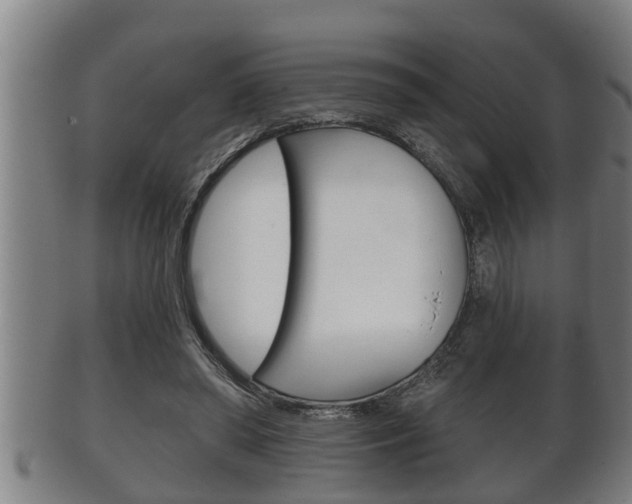 X0000100370398200806060807