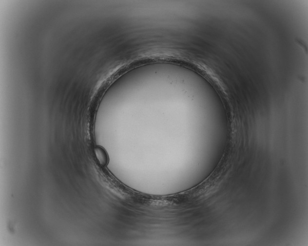 X0000100370399200806060807