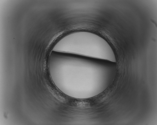 X0000100370400200806060807